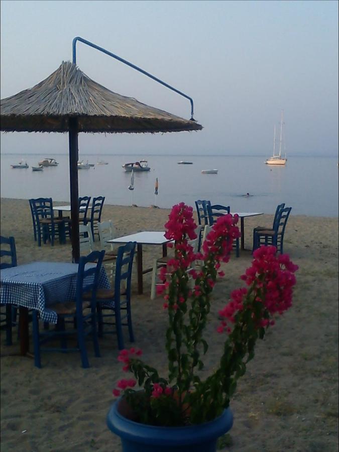 Dafni'S Home 50 Meters From The Beach Gerakini Luaran gambar