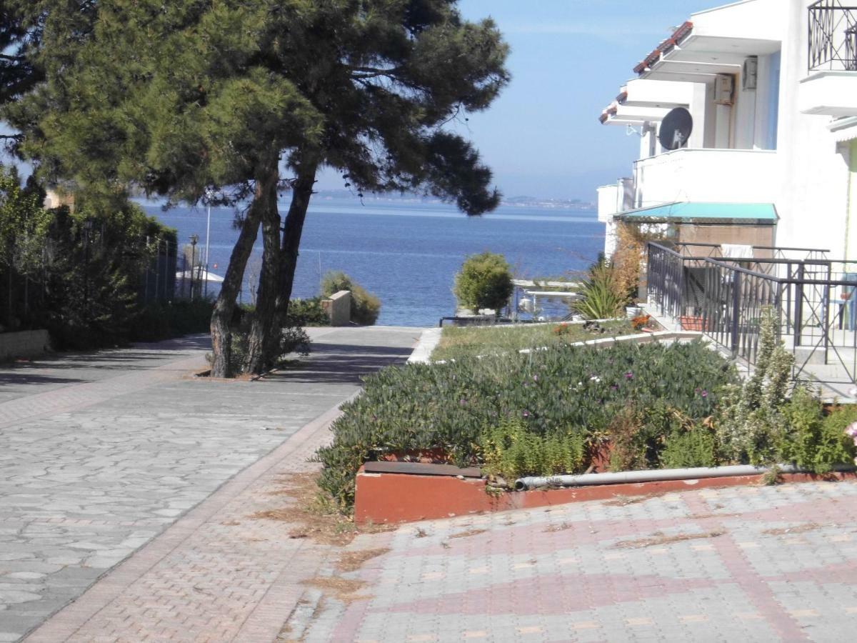 Dafni'S Home 50 Meters From The Beach Gerakini Luaran gambar